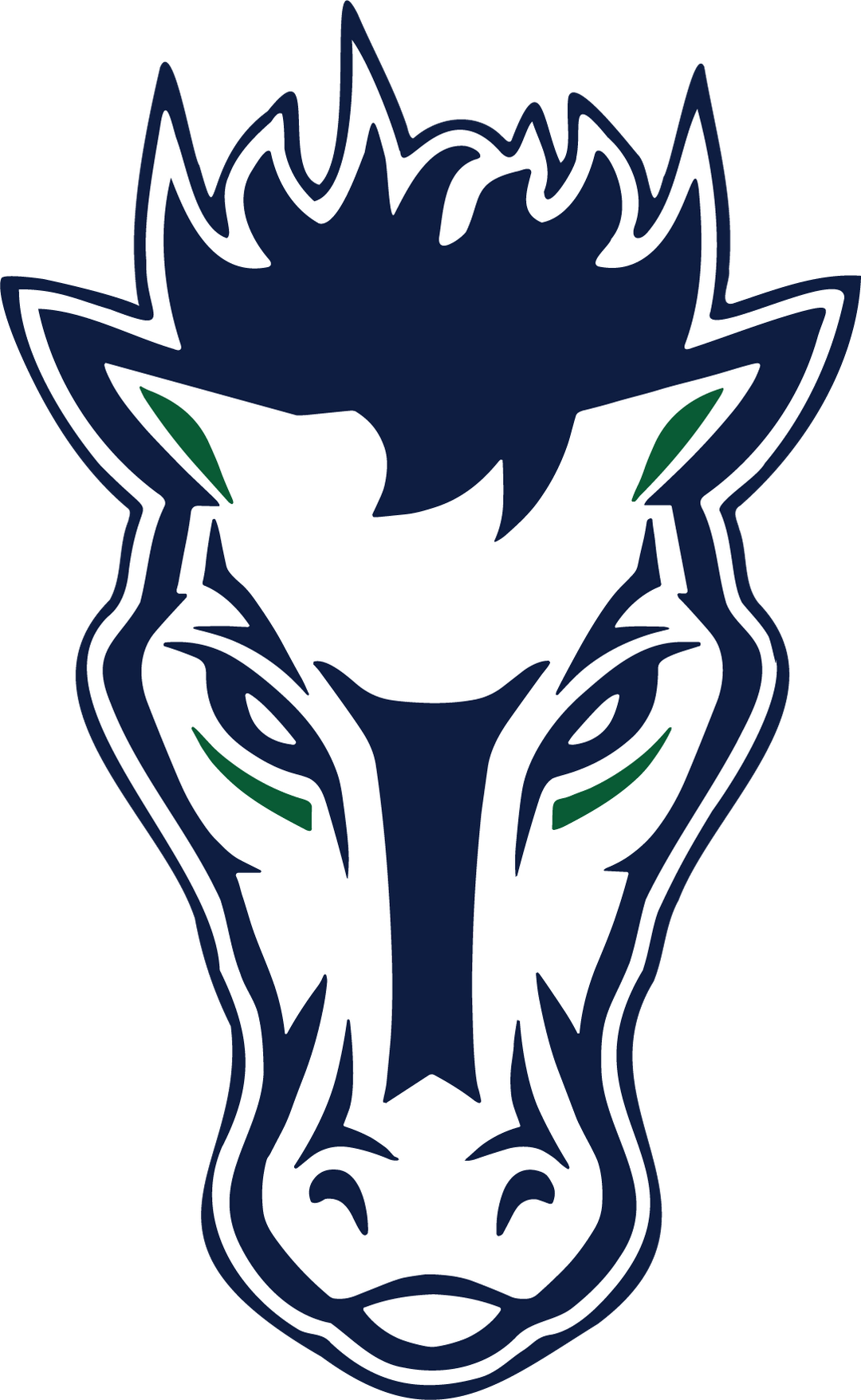 DR Mustangs Football